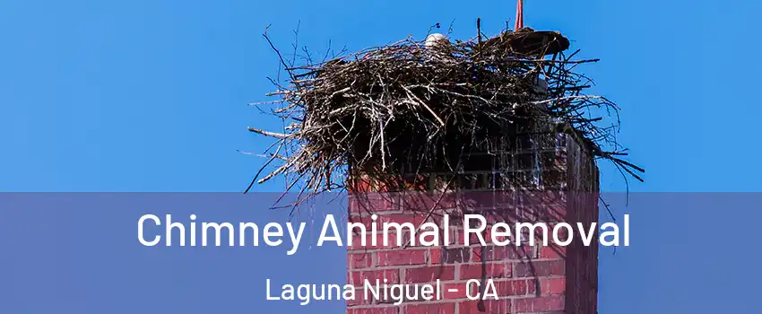 Chimney Animal Removal Laguna Niguel - CA