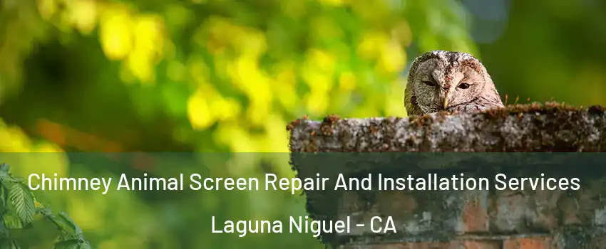  Chimney Animal Screen Repair And Installation Services Laguna Niguel - CA