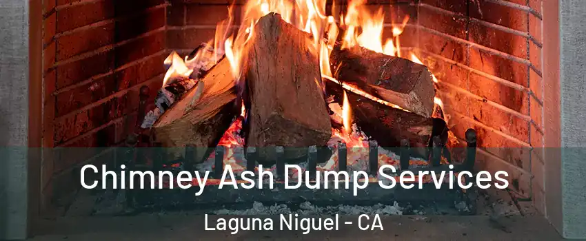  Chimney Ash Dump Services Laguna Niguel - CA
