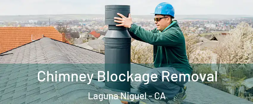  Chimney Blockage Removal Laguna Niguel - CA