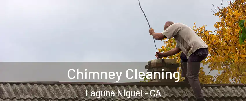  Chimney Cleaning Laguna Niguel - CA
