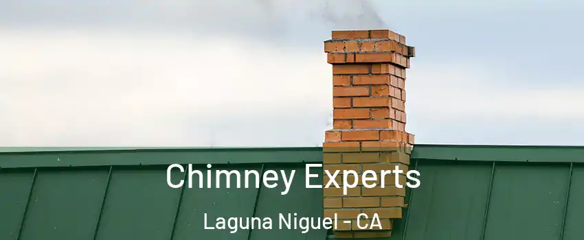  Chimney Experts Laguna Niguel - CA