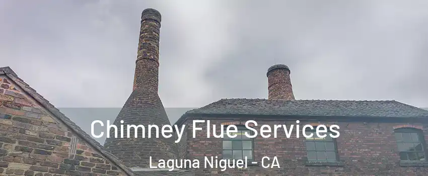  Chimney Flue Services Laguna Niguel - CA