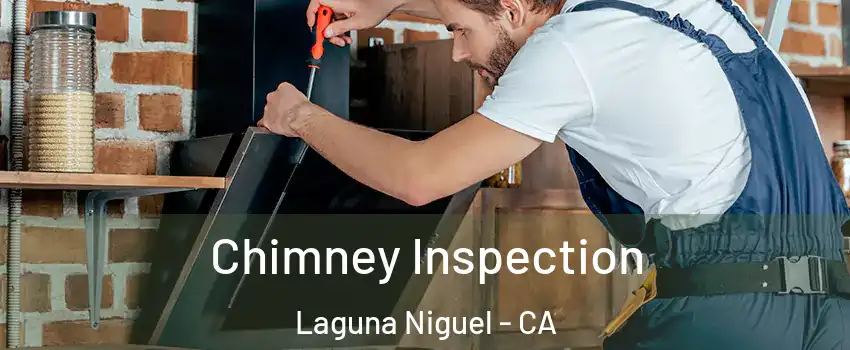  Chimney Inspection Laguna Niguel - CA