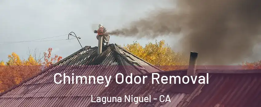  Chimney Odor Removal Laguna Niguel - CA