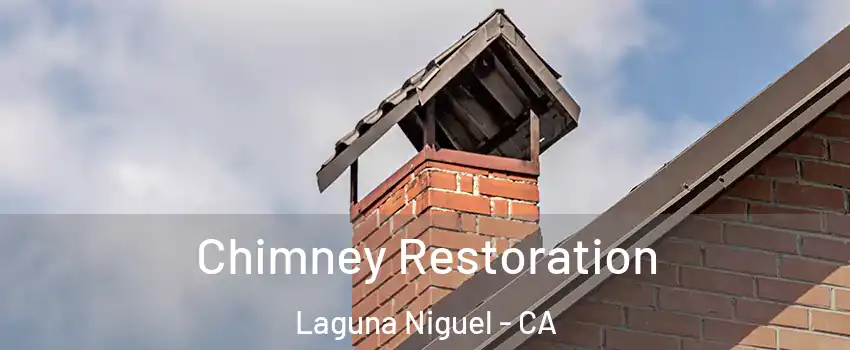  Chimney Restoration Laguna Niguel - CA