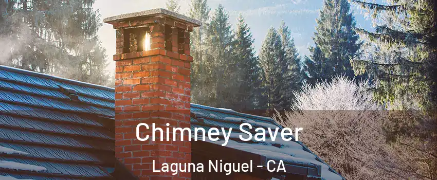  Chimney Saver Laguna Niguel - CA