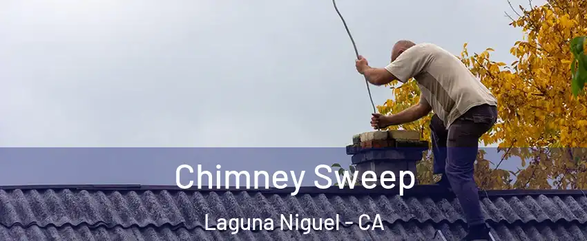 Chimney Sweep Laguna Niguel - CA