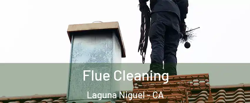  Flue Cleaning Laguna Niguel - CA