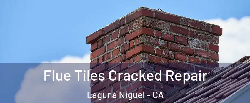  Flue Tiles Cracked Repair Laguna Niguel - CA