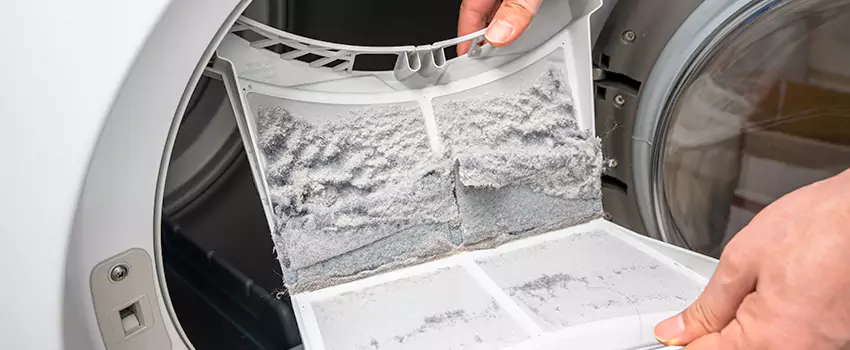 Best Dryer Lint Removal Company in Laguna Niguel, California