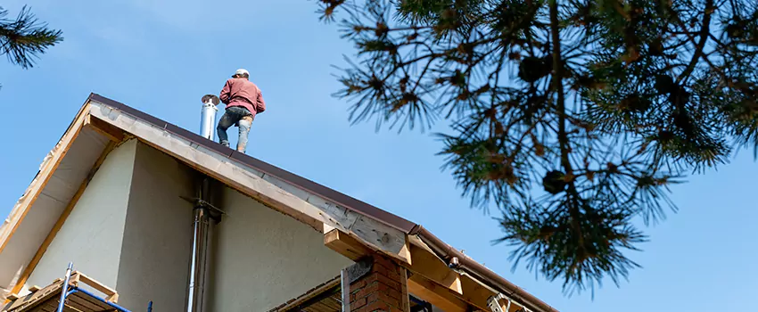 Birds Removal Contractors from Chimney in Laguna Niguel, CA