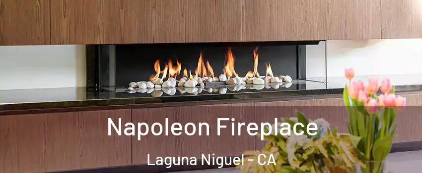  Napoleon Fireplace Laguna Niguel - CA
